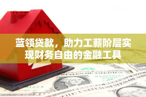 凤山蓝领贷款，助力工薪阶层实现财务自由的金融工具