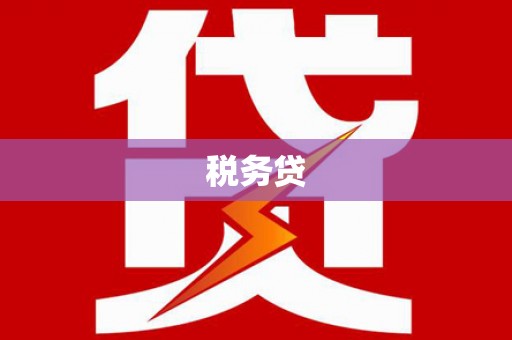 凤山税务贷