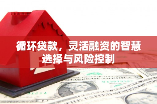 凤山循环贷款，灵活融资的智慧选择与风险控制