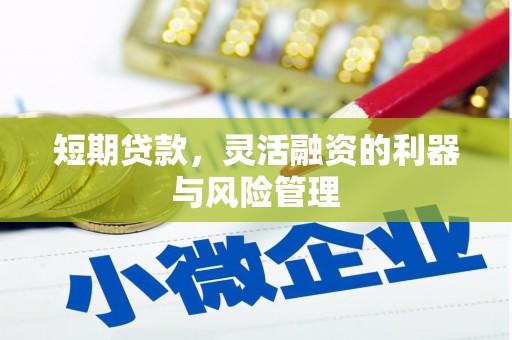 凤山短期贷款，灵活融资的利器与风险管理