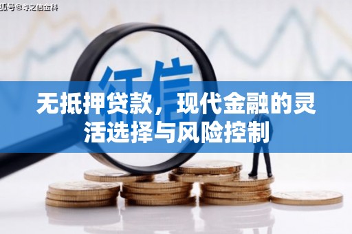 凤山无抵押贷款，现代金融的灵活选择与风险控制