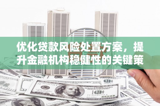 凤山优化贷款风险处置方案，提升金融机构稳健性的关键策略