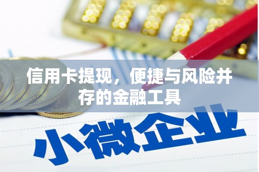 凤山信用卡提现，便捷与风险并存的金融工具