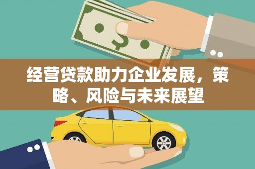 凤山经营贷款助力企业发展，策略、风险与未来展望