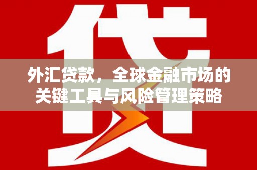 凤山外汇贷款，全球金融市场的关键工具与风险管理策略