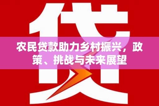 凤山农民贷款助力乡村振兴，政策、挑战与未来展望