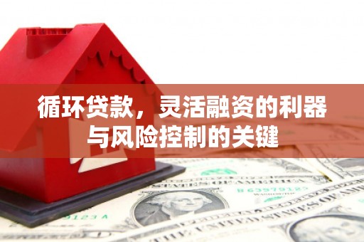 凤山循环贷款，灵活融资的利器与风险控制的关键