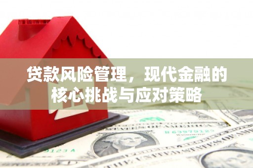 凤山贷款风险管理，现代金融的核心挑战与应对策略