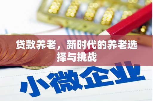 凤山贷款养老，新时代的养老选择与挑战