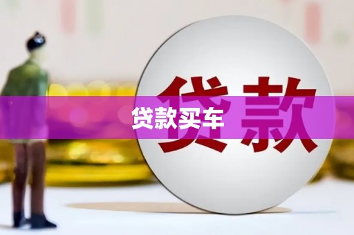凤山贷款买车