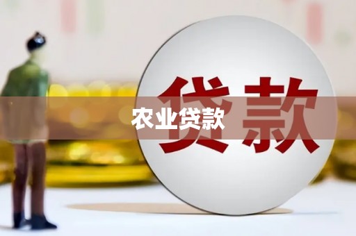凤山农业贷款