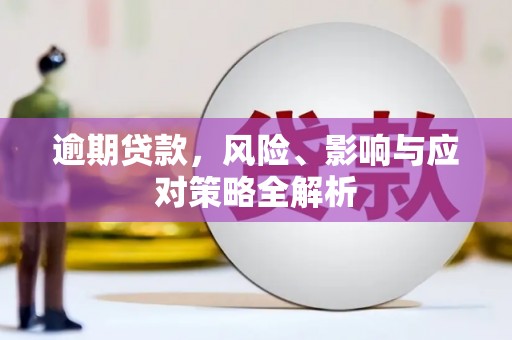 凤山逾期贷款，风险、影响与应对策略全解析