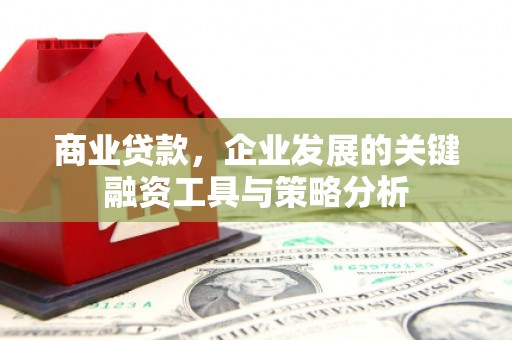 凤山商业贷款，企业发展的关键融资工具与策略分析