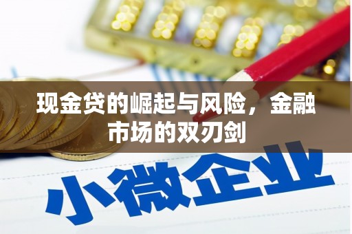 凤山现金贷的崛起与风险，金融市场的双刃剑