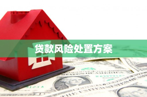 凤山贷款风险处置方案