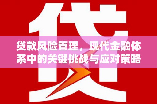 凤山贷款风险管理，现代金融体系中的关键挑战与应对策略