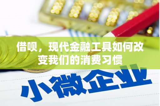 凤山借呗，现代金融工具如何改变我们的消费习惯