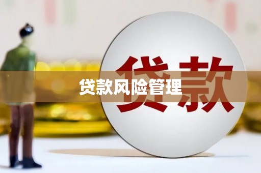 凤山贷款风险管理