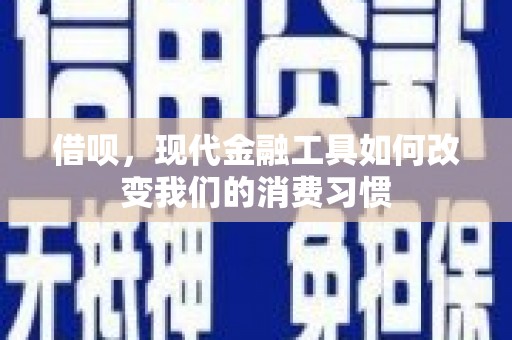 凤山借呗，现代金融工具如何改变我们的消费习惯