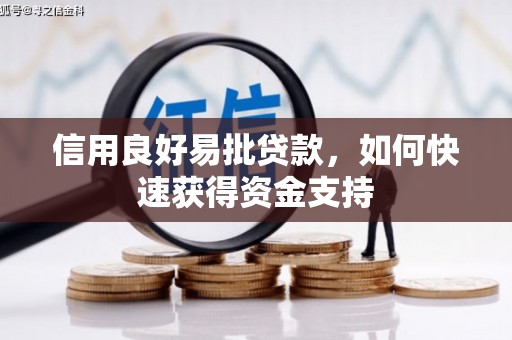 凤山信用良好易批贷款，如何快速获得资金支持