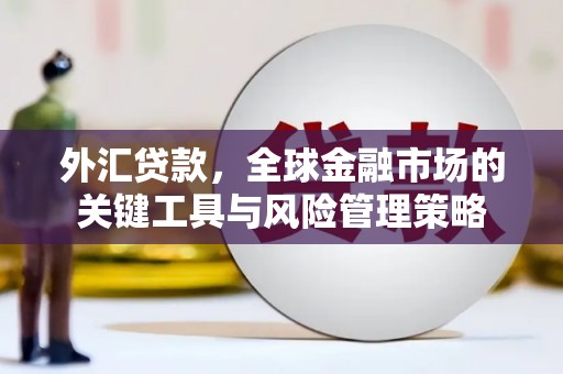 凤山外汇贷款，全球金融市场的关键工具与风险管理策略