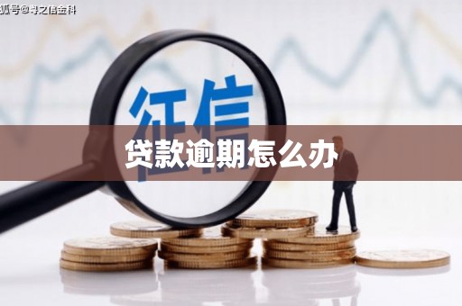 凤山贷款逾期怎么办