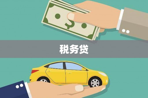 凤山税务贷