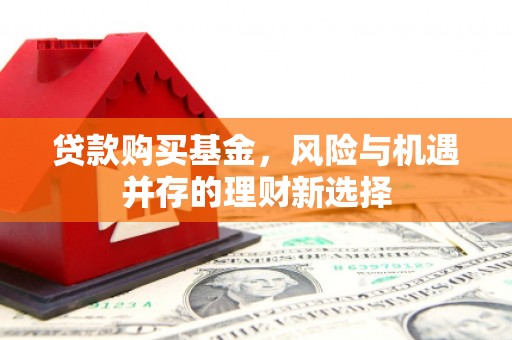 凤山贷款购买基金，风险与机遇并存的理财新选择