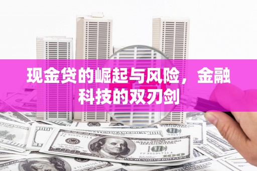 凤山现金贷的崛起与风险，金融科技的双刃剑