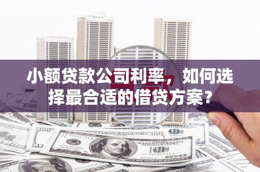 凤山小额贷款公司利率，如何选择最合适的借贷方案？