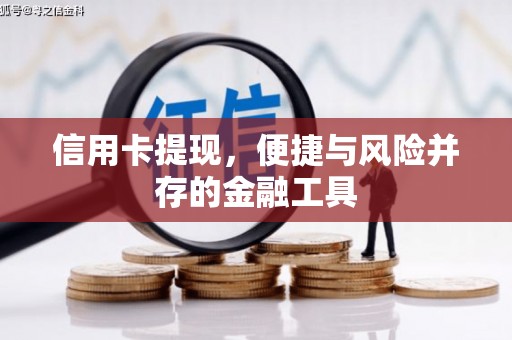 凤山信用卡提现，便捷与风险并存的金融工具