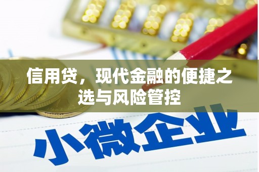 凤山信用贷，现代金融的便捷之选与风险管控
