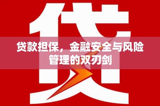 凤山贷款担保，金融安全与风险管理的双刃剑