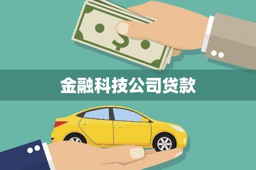 凤山金融科技公司贷款