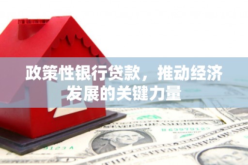 凤山政策性银行贷款，推动经济发展的关键力量