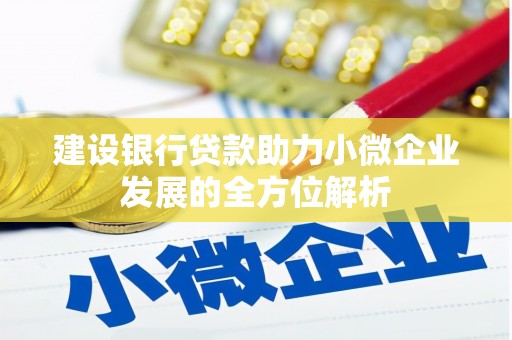 凤山建设银行贷款助力小微企业发展的全方位解析
