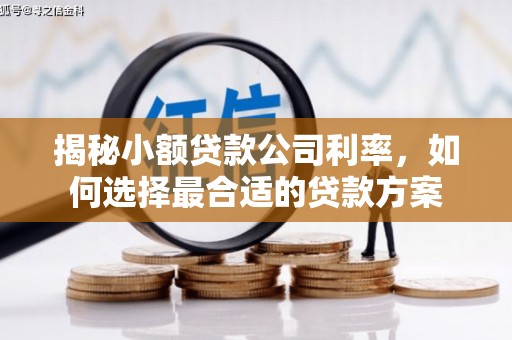 凤山揭秘小额贷款公司利率，如何选择最合适的贷款方案
