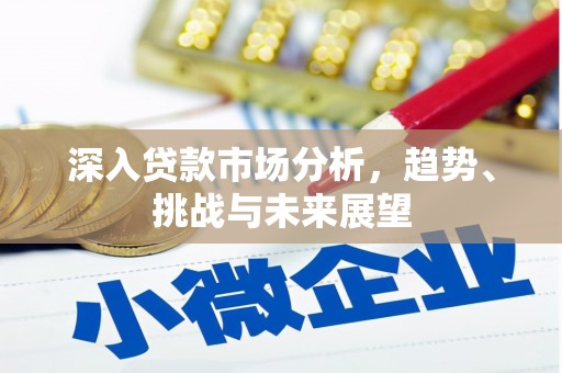 凤山深入贷款市场分析，趋势、挑战与未来展望
