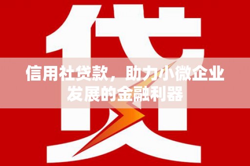 凤山信用社贷款，助力小微企业发展的金融利器