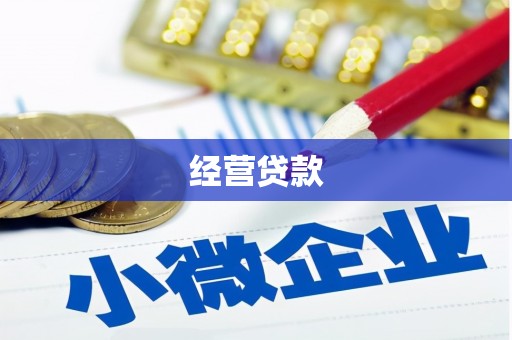 凤山经营贷款