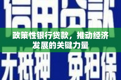 凤山政策性银行贷款，推动经济发展的关键力量