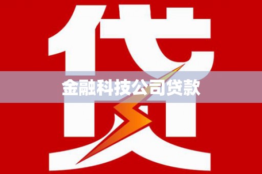 凤山金融科技公司贷款