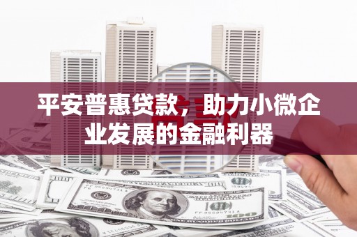凤山平安普惠贷款，助力小微企业发展的金融利器