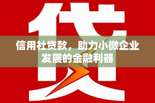 凤山信用社贷款，助力小微企业发展的金融利器