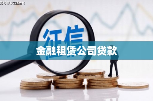 凤山金融租赁公司贷款