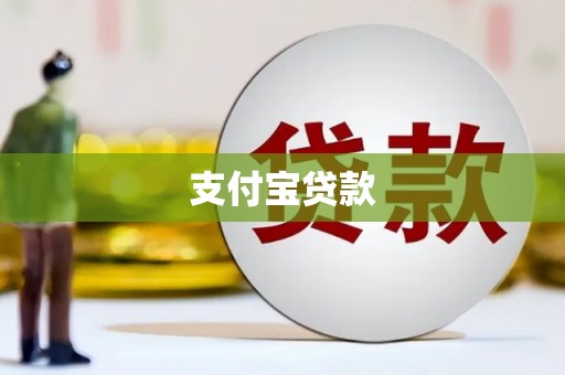 凤山支付宝贷款