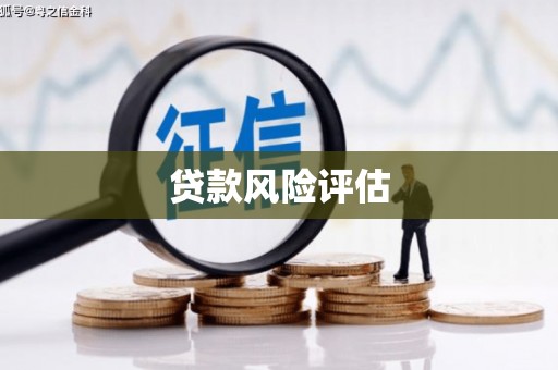 凤山贷款风险评估