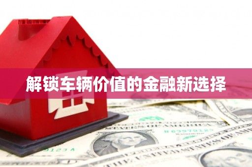 凤山解锁车辆价值的金融新选择