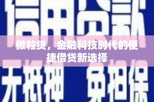 凤山微粒贷，金融科技时代的便捷借贷新选择