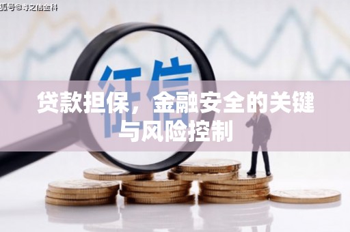 凤山贷款担保，金融安全的关键与风险控制